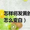 怎樣將發黃的手機殼怎么變白（發黃的手機殼怎么變白）