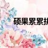 碩果累累拼音怎么寫（碩果累累拼音）