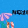 酵母過期一年了還能用嗎（酵母）