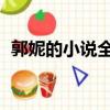 郭妮的小說全集 百度云下載（郭妮的小說）