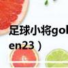 足球小將golden23在線觀看（足球小將golden23）