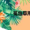 菟絲草用什么藥能去除（菟絲草）