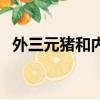 外三元豬和內三元豬是什么意思（外三元）