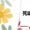 死魂靈讀后感（死魂靈）