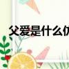 父愛是什么仿句三年級（父愛是什么仿句）