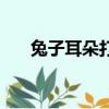 兔子耳朵打一字謎（兔子耳朵打一字）