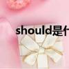 should是什么意思（shall是什么意思）