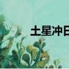 土星沖日是什么意思（土星沖日）