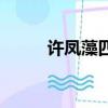 許鳳藻四字鼓勵許倬云（許鳳藻）