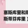 塞斯庫里和斯蒂芬庫里有關系嗎（塞斯庫里和斯蒂芬庫里）