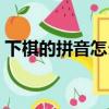 下棋的拼音怎么寫聲調（下棋的拼音怎么寫）