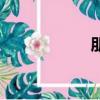 朋客破壁機（朋客）