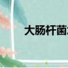大腸桿菌培養條件（大腸桿菌培養）