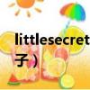 littlesecret什么牌子（little swan是什么牌子）