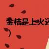 金桔是上火還是去火的（金桔是上火還是下火）