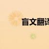 盲文翻譯器在線翻譯（盲文翻譯）