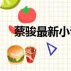 蔡駿最新小說在線閱讀（蔡駿最新小說）
