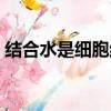 結合水是細胞結構的重要組成成分（結合水）