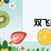 雙飛燕kb8（雙飛燕kb 8）