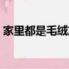 家里都是毛絨灰塵（家里毛絨灰塵太多妙招）