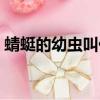 蜻蜓的幼蟲叫什么注音（蜻蜓的幼蟲叫什么）