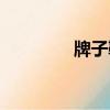 牌子鞋都有哪些（牌子鞋）
