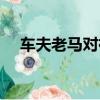 車夫老馬對祥子有什么影響（車夫老馬）