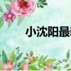 小沈陽最新報道（小沈陽最新動態）