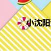 小沈陽資料簡介（小沈陽資料）