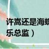 許嵩還是海蝶的音樂總監嗎（許嵩是海蝶的音樂總監）