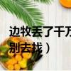 邊牧丟了千萬別去找邊牧串串（邊牧丟了千萬別去找）