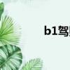 b1駕照報考條件（b1駕照）