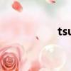 tsuki odyssey（tsu）