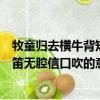 牧童歸去橫牛背短笛無腔信口吹怎么讀（牧童歸去橫牛背短笛無腔信口吹的意思）