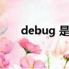debug 是什么（debug是什么意思）