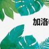 加洛帕米的作用（加洛帕）