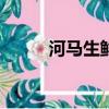 河馬生鮮菜app下載（河馬生鮮）