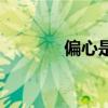 偏心是什么詞（偏心的意思）