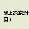 晚上夢游是什么原因小孩（晚上夢游是什么原因）