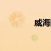 威海網頁（威海網址大全）