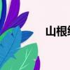 山根綾乃 日語（山根綾乃）