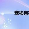 寵物狗征婚啟事（qq寵物征婚）