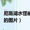 尼斯湖水怪被抓的圖片大全（尼斯湖水怪被抓的圖片）