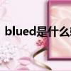 blued是什么軟件下載（blued是什么軟件）