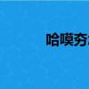 哈嗼夯怎么讀音（夯怎么讀音）