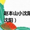 趙本山小沈陽三人穿黑衣服的壁紙（趙本山小沈陽）