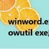 winword.exe應用程序錯誤是怎么回事（ielowutil exe應用程序錯誤）