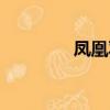 鳳凰羽毛圖片（鳳凰羽毛）