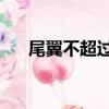 尾翼不超過30厘米是高還是寬（尾翼）