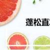 蓬松直發叫什么燙（蓬松直發）